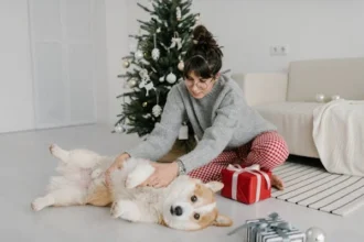 pet wellness ahead of the busy holiday season